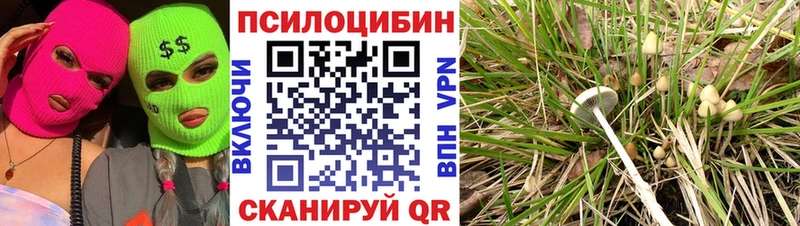 Купить закладки  Березники  Псилоцибиновые грибы прущие грибы 