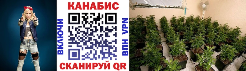 МАРИХУАНА индика Березники